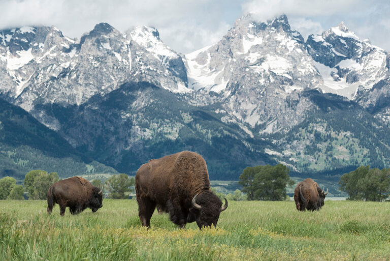 America's National Parks by Private Jet